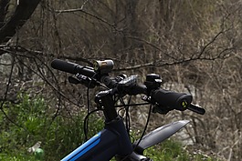 自行車,路,運動