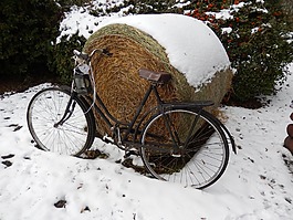 冬季,自行車,雪