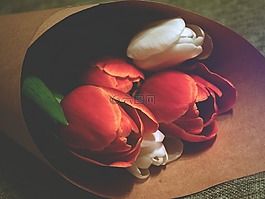 红色,玫瑰,鲜花