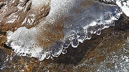 性質(zhì),凝膠,水