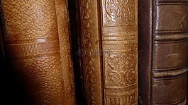 脊椎,圖書,antiquariat