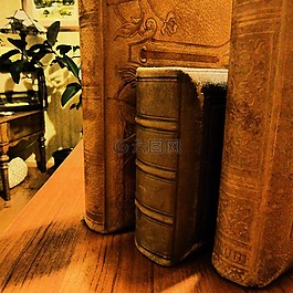 脊椎,圖書,antiquariat