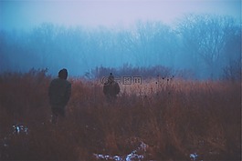 黑暗,霧,冬天