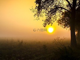 景觀,霧,日出