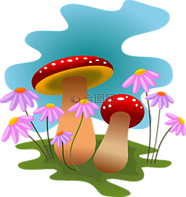 蘑菇,秋,真菌