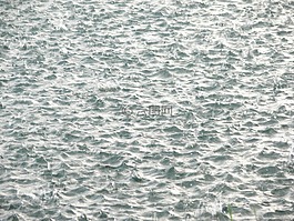 雨,水,湖