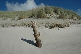 海灘,樁,海