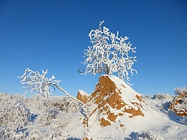 冬季,草原,kostric