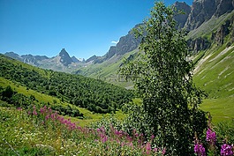 阿爾卑斯山,valloire,牧場
