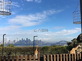 動(dòng)物園,悉尼,旅行