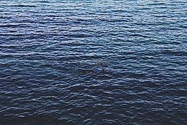 水,表面,浮潜
