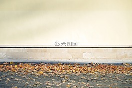 空白,墻,葉子