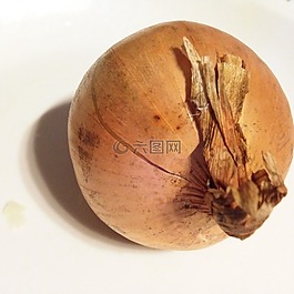 洋蔥,廚房,湯