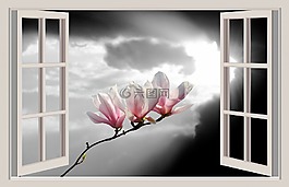 玉蘭,花,春天