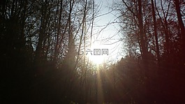 性質(zhì),光線,太陽