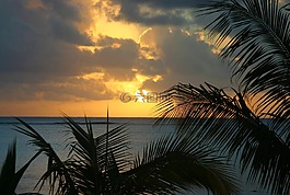 海灘,日落,海岸