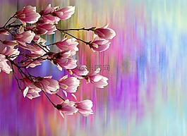 玉蘭,春天,性質(zhì)