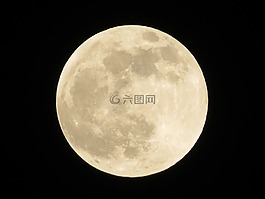 滿月,月亮,夜