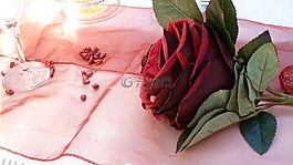 玫瑰,紅色,浪漫