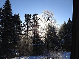 冬天,雪,自然