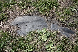 胎,斗篷,性質(zhì)