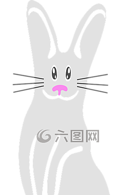 兔子,兔,白