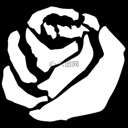 玫瑰,開花,花