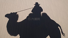 自我畫像,駱駝,剪影