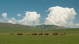 景觀,云,天空