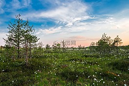 景觀,景區(qū),草甸