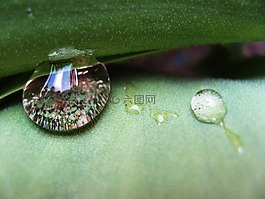 拖放,水,綠色