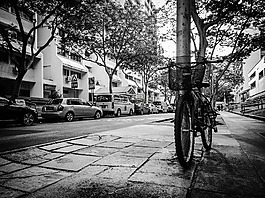 自行車,兩輪,舊自行車