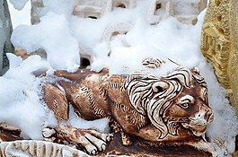 獅子,野生動物園,母獅
