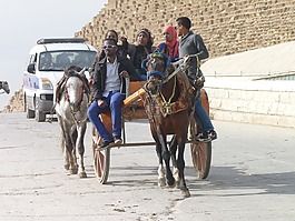 馬車,埃及,旅游