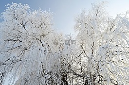 冬天,霜,積冰