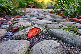 鵝卵石,行人路,公園