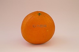 水果,柑橘,橙色