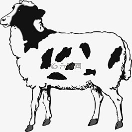 動(dòng)物,食品,肉