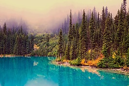加拿大,湖,水