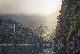 湖,雨林,熱帶