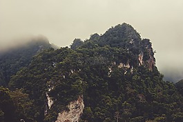 山,森林,朦朧