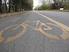 自行車,路,信號
