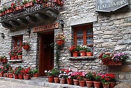 餐廳,歐洲餐廳,鮮花盆