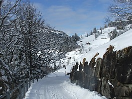 翁根,路徑,阿爾卑斯山