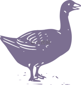 動(dòng)物,農(nóng)場(chǎng),雞