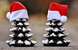 圣誕節(jié),冷杉,樹木