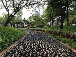 石,路徑,軌道