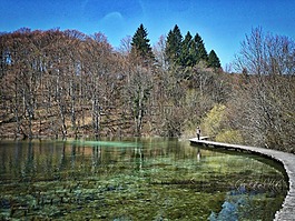 路径,湖,平静