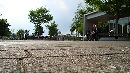 公園,日本,天空