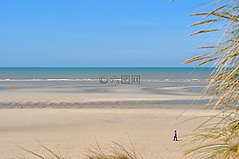海灘,海,男人
